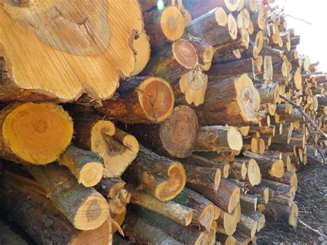 11月12月包裝紙價(jià)格將高位震蕩、緩慢上行